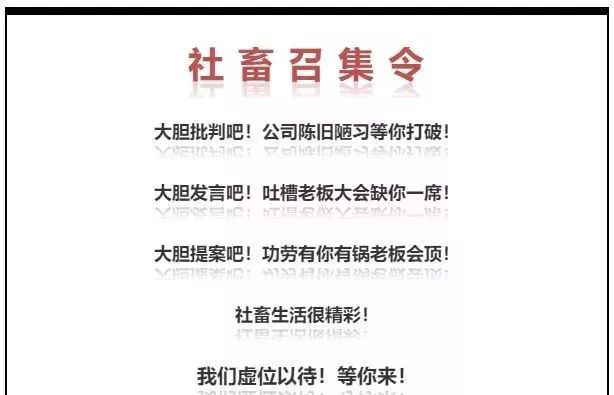 这支广告片说出了我的职场心里话